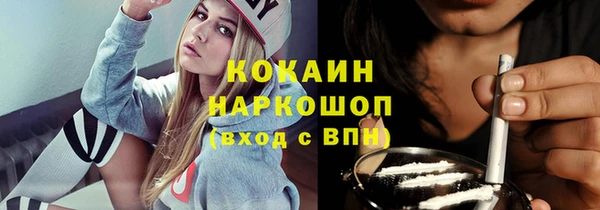 шишки Алексеевка