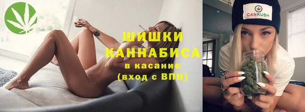 spice Ивангород