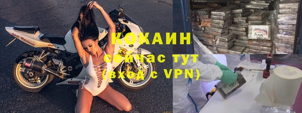 индика Зуевка