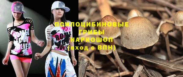 амф Алексин