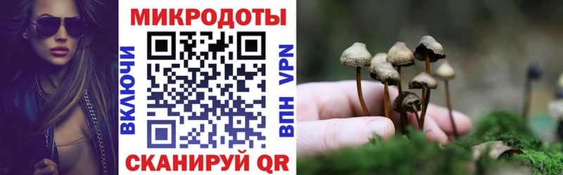 Псилоцибиновые грибы Psilocybe  Заинск 